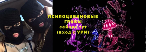 PSILOCYBIN Алзамай