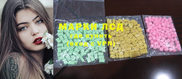 PSILOCYBIN Алзамай