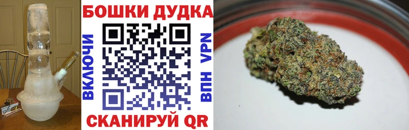Бошки Шишки план Камешково